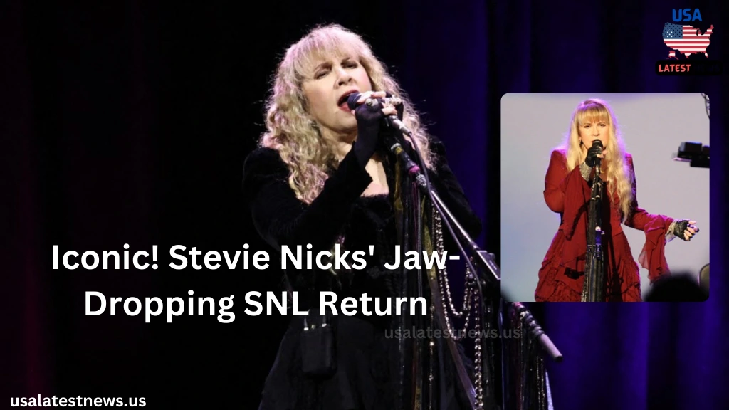 Stevie Nicks Returns