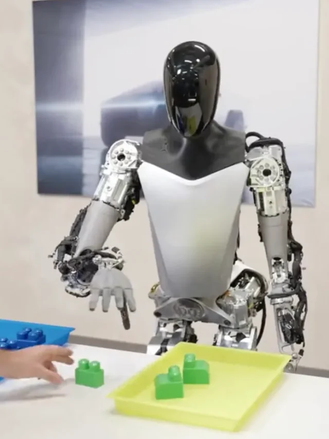 Tesla-Optimus-bot-robot-sorting