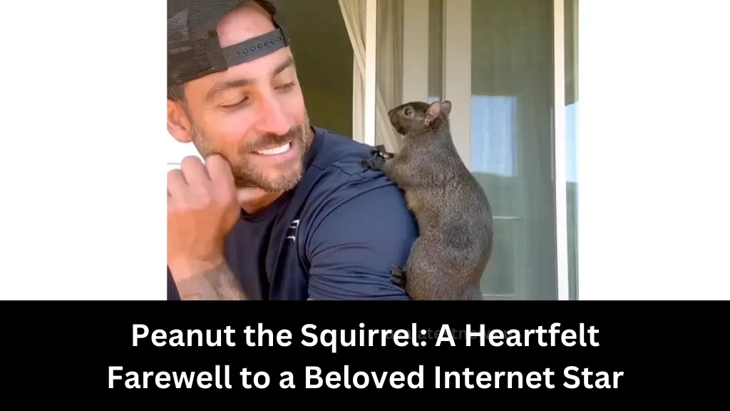 peanut the squirrel